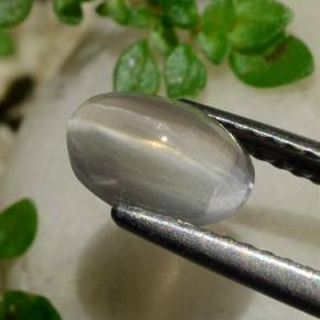 Sillimanite Cat's Eye Gemstone in 7.9 x 5.2 mm Size for Sale, Sillimanite Cat's Eye Stone in Smoke Color