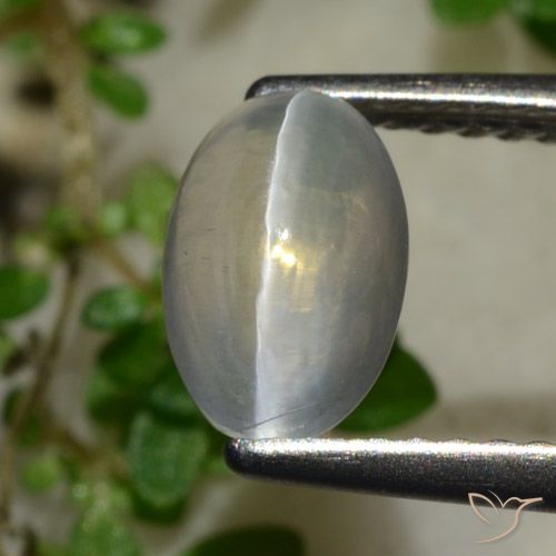 1.65 ct Oval Sillimanite Cat's Eye, 7.9 x 5.2 mm From Madagascar, Photo A