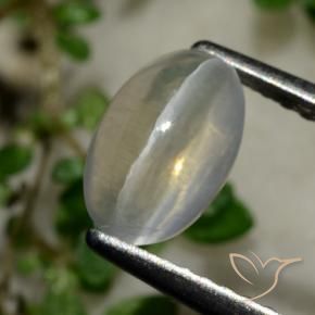 1.65 ct Gray Sillimanite Cat's Eye Stone, Natural Sillimanite Cat's Eye in Oval Cabochon Shape for Sale