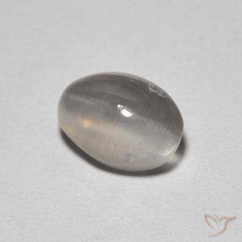 1.64 ct Gray Sillimanite Cat's Eye Stone, Natural Sillimanite Cat's Eye in Oval Cabochon Shape for Sale