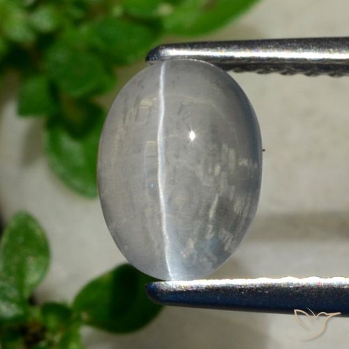 1.56 ct Oval Sillimanite Cat's Eye, 7.9 x 5.8 mm From Madagascar, Photo A