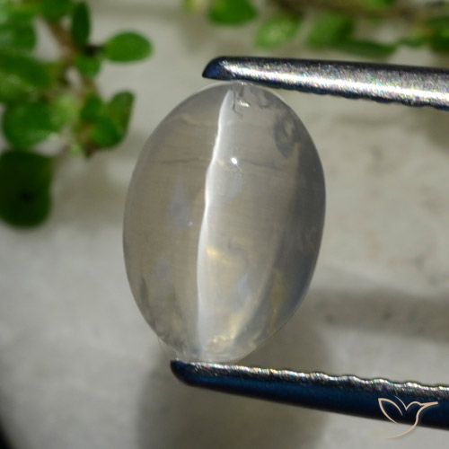 1,4 ct ovaler Sillimanit-Katzenauge aus Madagaskar, Größe: 7,6 x 5,4mm, Reinheit: Transparent, Garantiert echter Edelstein, 1 Stück Sillimanit-Katzenauge in Sehr helles Grau Farbe, Mohs-Härte von 6,5 - 7,5 Geeignet für den täglichen Gebrauch im Schmuck, Photo A