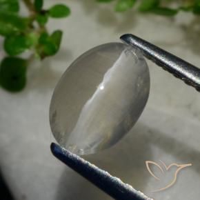 1.40 ct Gray Sillimanite Cat's Eye Stone, Natural Sillimanite Cat's Eye in Oval Cabochon Shape for Sale