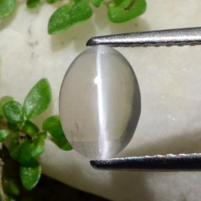 1.3ct Oval Cabochon Smoke Sillimanite Cat's Eye Gem for sale 1.3ct Oval Cabochon Smoke Sillimanite Cat's Eye Gem (ID: 474022)