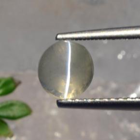 1.56 ct Gray Sillimanite Cat's Eye Gemstone, Sillimanite Cat's Eye Gem in Round Cabochon Shape for Sale.
