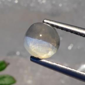 1.56 ct Gray Sillimanite Cat's Eye Stone, Natural Sillimanite Cat's Eye in Round Cabochon Shape for Sale