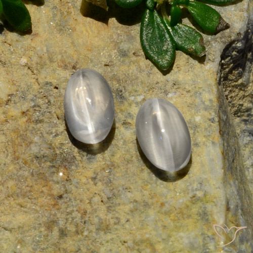 1.37 ct Oval Sillimanite Cat's Eye, 6.3 x 3.8 mm From Madagascar, Photo A
