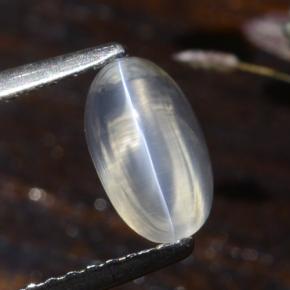 1.4ct Oval Cabochon Smoke Sillimanite Cat's Eye Gem for sale 1.4ct Oval Cabochon Smoke Sillimanite Cat's Eye Gem (ID: 474179)