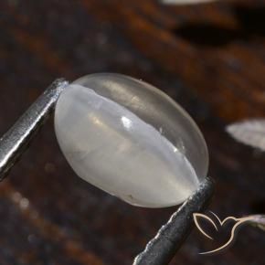 1.58 ct White Sillimanite Cat's Eye Stone, Natural Sillimanite Cat's Eye in Oval Cabochon Shape for Sale