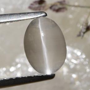 Very Light Grey Sillimanite Cat's Eye Gem - 1.5ct Oval Cabochon (ID: 474183)
