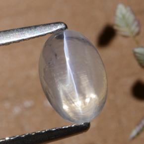 Clear Sillimanit-Katzenauge Edelstein - 1.5ct Oval Cabochon (ID: 474185)
