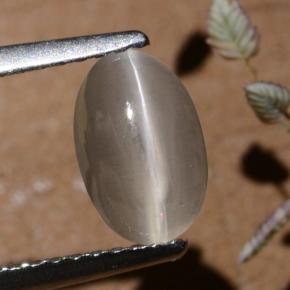 1.40 ct Gray Sillimanite Cat's Eye Gemstone, Sillimanite Cat's Eye Gem in Oval Cabochon Shape for Sale.