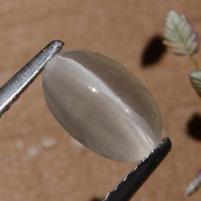 1.40 ct Gray Sillimanite Cat's Eye Stone, Natural Sillimanite Cat's Eye in Oval Cabochon Shape for Sale
