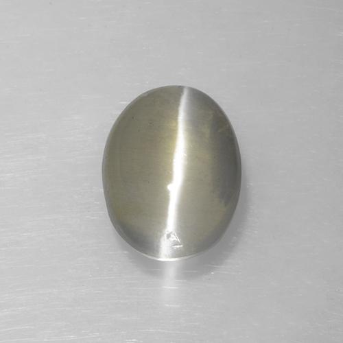 Very Light Grey Sillimanite Cat's Eye Gem - 1.6ct Oval Cabochon (ID: 474187)