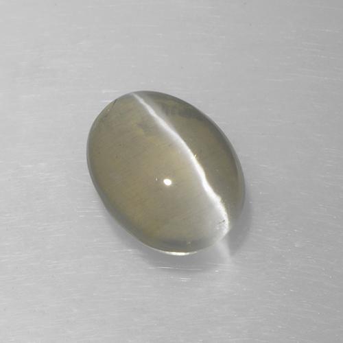 1.62 ct Gray Sillimanite Cat's Eye Stone, Natural Sillimanite Cat's Eye in Oval Cabochon Shape for Sale
