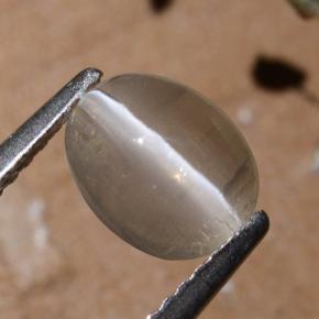 1.44 ct Gray Sillimanite Cat's Eye Stone, Natural Sillimanite Cat's Eye in Oval Cabochon Shape for Sale