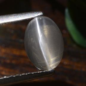 Very Light Grey Силлиманит Кошачий Глаз Камень - 1.4ct Овал Кабошон (ID: 474190)