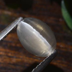 1.40 ct Gray Sillimanite Cat's Eye Stone, Natural Sillimanite Cat's Eye in Oval Cabochon Shape for Sale