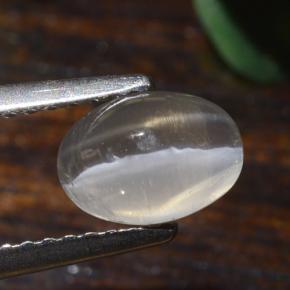 Sillimanite Cat's Eye Gemstone in 7.5 x 5.5 mm Size for Sale, Sillimanite Cat's Eye Stone in Very Light Grey Color