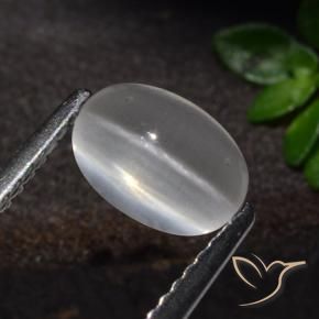 1.51 ct White Sillimanite Cat's Eye Stone, Natural Sillimanite Cat's Eye in Oval Cabochon Shape for Sale