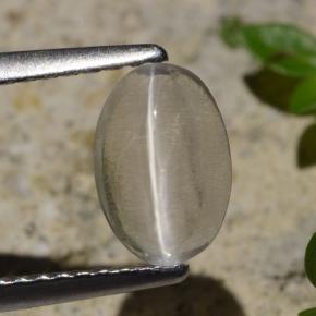 1.45 ct Gray Sillimanite Cat's Eye Gemstone, Sillimanite Cat's Eye Gem in Oval Cabochon Shape for Sale.