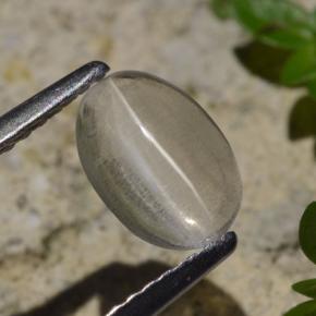 1.45 ct Gray Sillimanite Cat's Eye Stone, Natural Sillimanite Cat's Eye in Oval Cabochon Shape for Sale