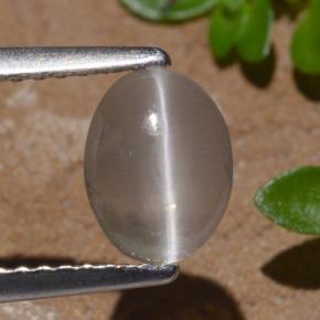 1.29 ct Brown Sillimanite Cat's Eye Gemstone, Sillimanite Cat's Eye Gem in Oval Cabochon Shape for Sale.
