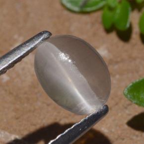 1.29 ct Brown Sillimanite Cat's Eye Stone, Natural Sillimanite Cat's Eye in Oval Cabochon Shape for Sale