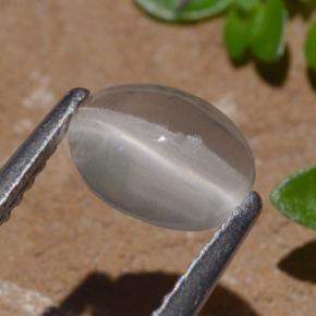 Sillimanite Cat's Eye Gemstone in 7.5 x 5.7 mm Size for Sale, Sillimanite Cat's Eye Stone in Smoke Color