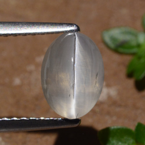 Very Light Grey Sillimanite Cat's Eye Gem - 2.2ct Oval Cabochon (ID: 474233)