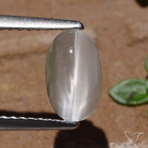 1.44 ct Oval Sillimanite Cat's Eye, 8.3 x 5.2 mm From Madagascar, Photo A