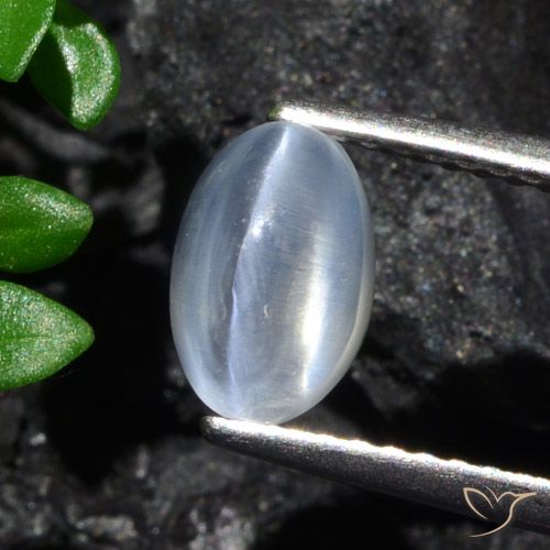 1.70ct Natural Clear Sillimanite Cat's Eye, Oval, Transparent