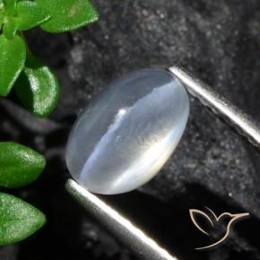 1.70 ct White Sillimanite Cat's Eye Stone, Natural Sillimanite Cat's Eye in Oval Cabochon Shape for Sale