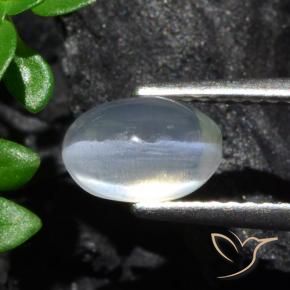 Sillimanite Cat's Eye Gemstone in 7.8 x 5.2 mm Size for Sale, Sillimanite Cat's Eye Stone in Clear Color