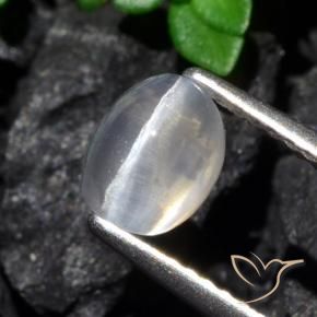 1.61 ct White Sillimanite Cat's Eye Stone, Natural Sillimanite Cat's Eye in Oval Cabochon Shape for Sale