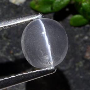 1.03 ct Gray Sillimanite Cat's Eye Gemstone, Sillimanite Cat's Eye Gem in Oval Cabochon Shape for Sale.