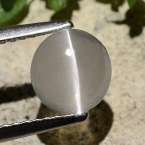 1.59 ct Gray Sillimanite Cat's Eye Gemstone, Sillimanite Cat's Eye Gem in Round Cabochon Shape for Sale.
