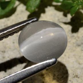 1.59 ct Gray Sillimanite Cat's Eye Stone, Natural Sillimanite Cat's Eye in Round Cabochon Shape for Sale