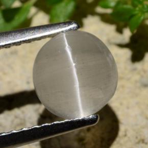 1.34 ct Gray Sillimanite Cat's Eye Gemstone, Sillimanite Cat's Eye Gem in Round Cabochon Shape for Sale.