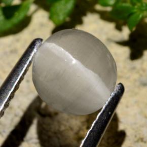 1.34 ct Gray Sillimanite Cat's Eye Stone, Natural Sillimanite Cat's Eye in Round Cabochon Shape for Sale