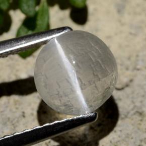 1.4ct Round Cabochon Smoke Sillimanite Cat's Eye Gem for sale 1.4ct Round Cabochon Smoke Sillimanite Cat's Eye Gem (ID: 474677)