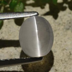 1.57 ct Gray Sillimanite Cat's Eye Gemstone, Sillimanite Cat's Eye Gem in Oval Cabochon Shape for Sale.