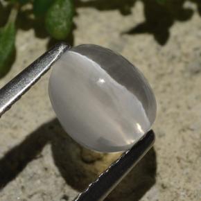 1.57 ct Gray Sillimanite Cat's Eye Stone, Natural Sillimanite Cat's Eye in Oval Cabochon Shape for Sale