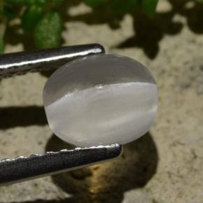 Sillimanite Cat's Eye Gemstone in 6.8 x 5.8 mm Size for Sale, Sillimanite Cat's Eye Stone in Smoke Color