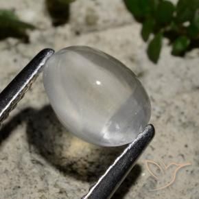 1.44 ct White Sillimanite Cat's Eye Stone, Natural Sillimanite Cat's Eye in Oval Cabochon Shape for Sale