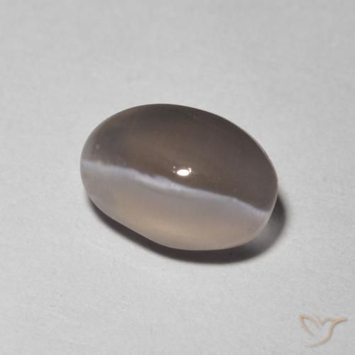 1.48 ct Gray Sillimanite Cat's Eye Stone, Natural Sillimanite Cat's Eye in Oval Cabochon Shape for Sale