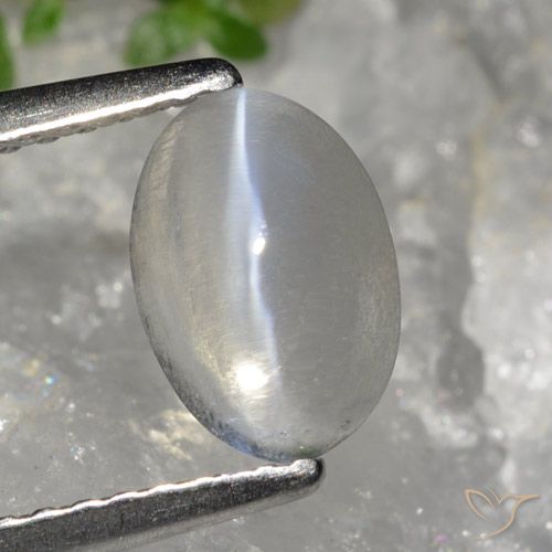 1.49 ct Oval Sillimanite Cat's Eye, 8.1 x 5.6 mm From Madagascar, Photo A