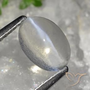 1.49 ct Gray Sillimanite Cat's Eye Stone, Natural Sillimanite Cat's Eye in Oval Cabochon Shape for Sale