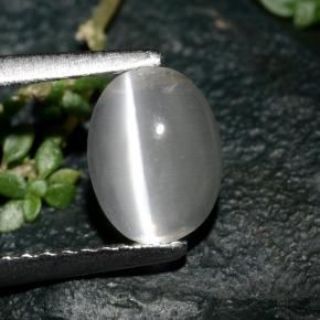 1.39 ct Gray Sillimanite Cat's Eye Gemstone, Sillimanite Cat's Eye Gem in Oval Cabochon Shape for Sale.