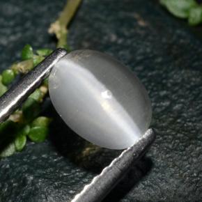 1.39 ct Gray Sillimanite Cat's Eye Stone, Natural Sillimanite Cat's Eye in Oval Cabochon Shape for Sale